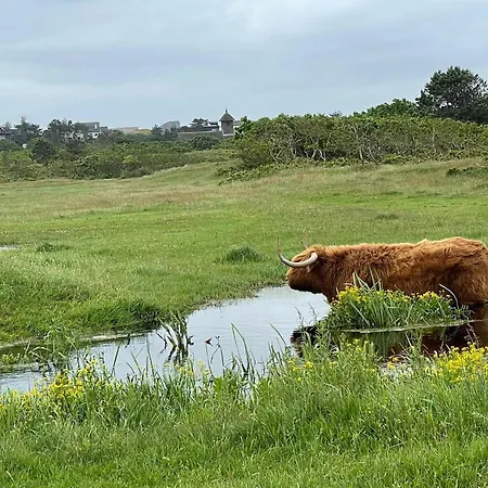 Zeeweg Bergen aan Zee
